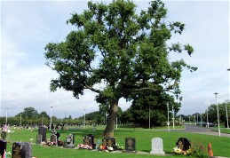 Kings Norton Cemetery Birmingham Kings Norton Cemetery Birmingham
